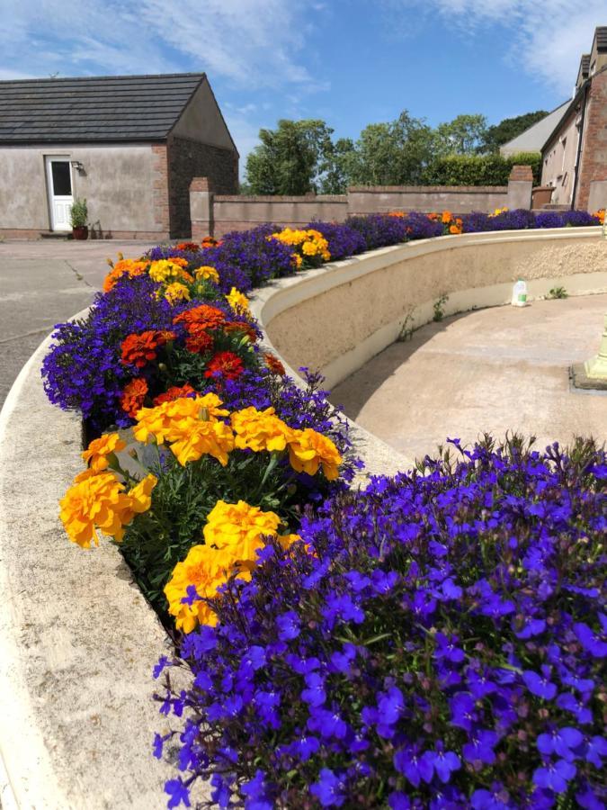 Oakfield B&B Lisburn Bagian luar foto