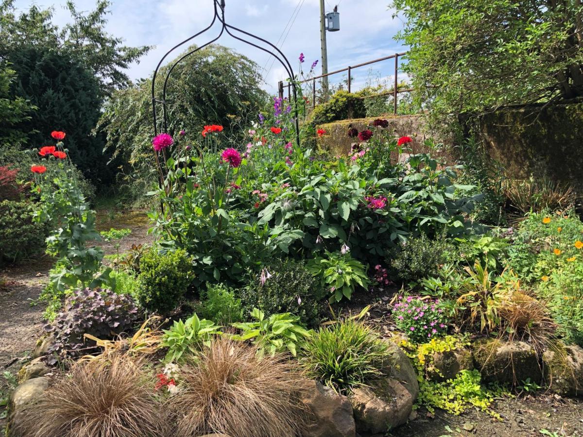 Oakfield B&B Lisburn Bagian luar foto